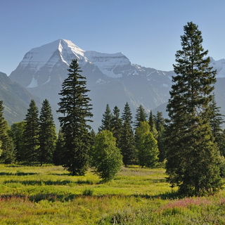 Mount Robson